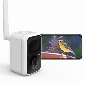 Birdfy Bffdclt16wtwm Wild Bird Watching & Recording Smart Bird Camera, White