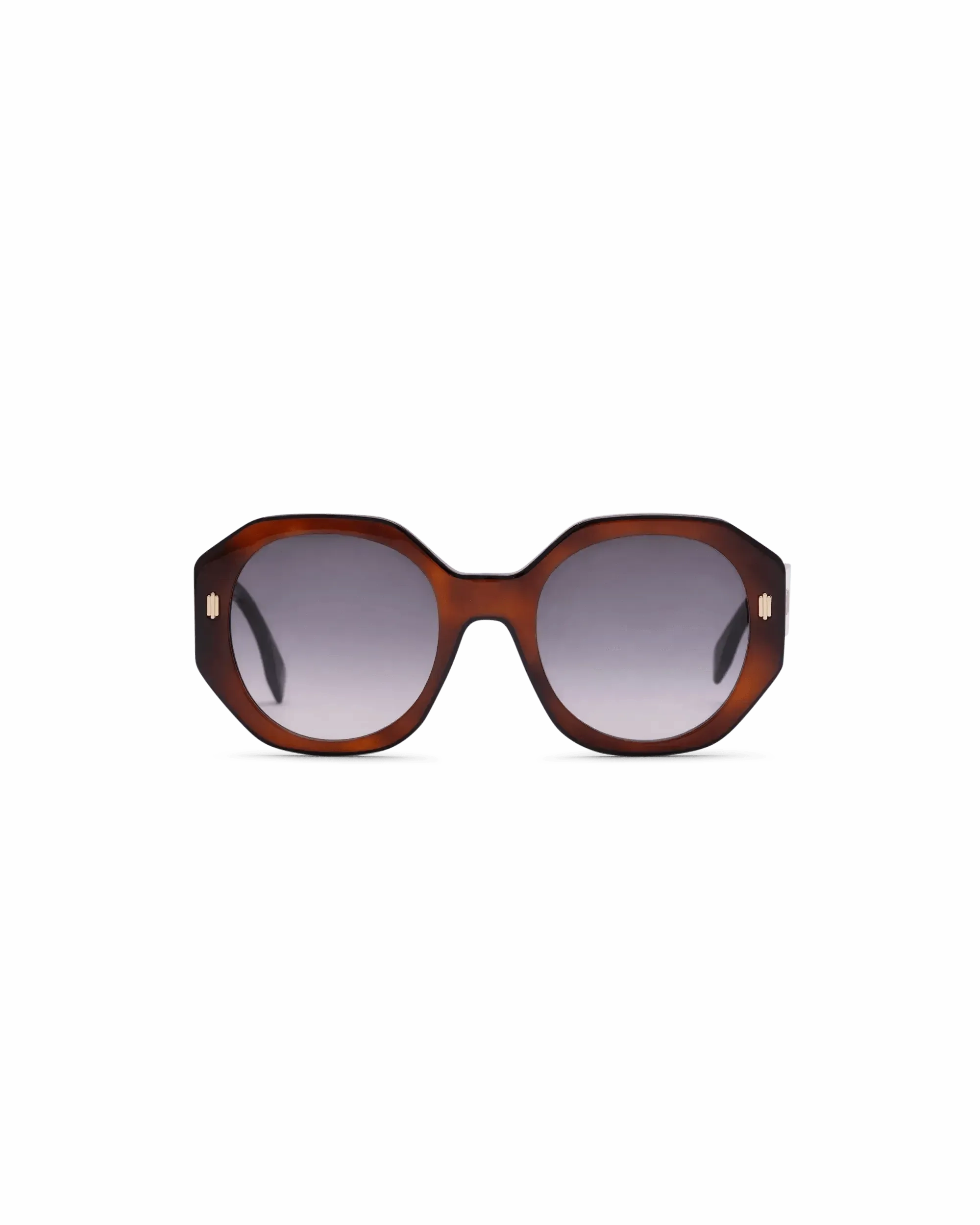 Bold Acetate Havana   Black Lens Sunglasses