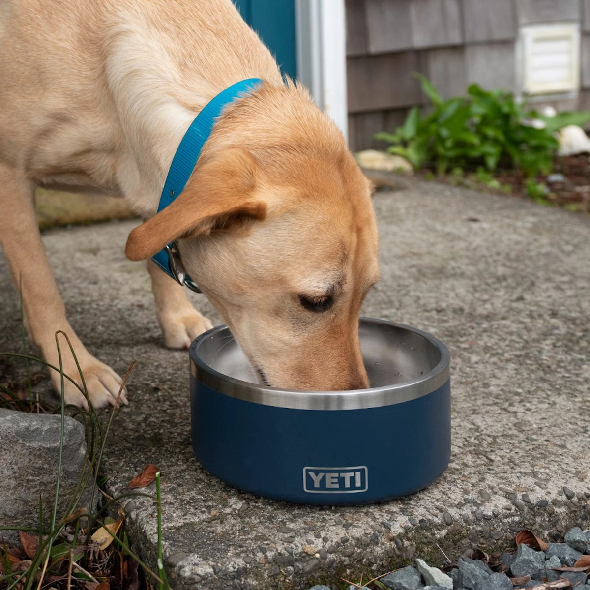Boomer 8 Dog Bowl