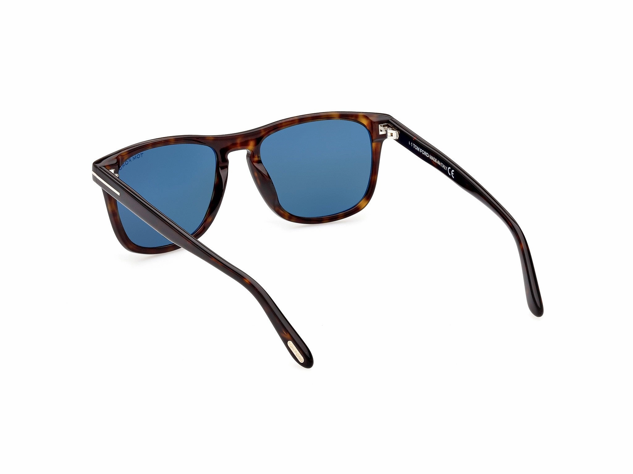 Tom Ford Eyewear Miranda Oversized Soft Square Sunglasses