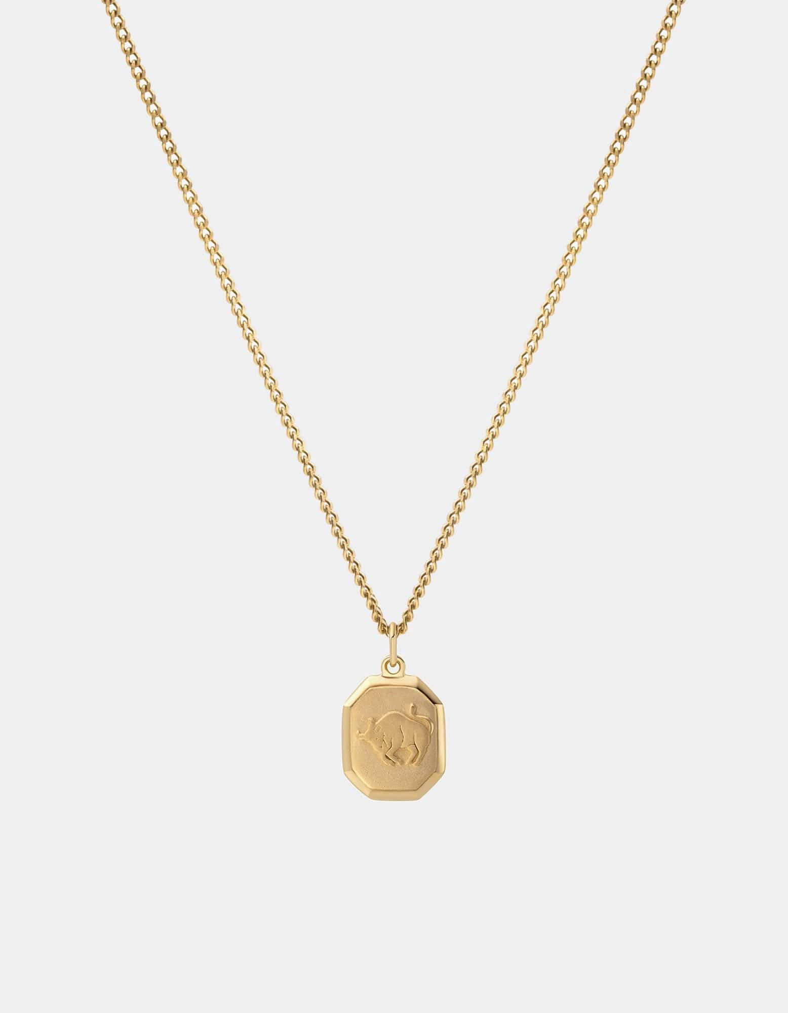 Zodiac Nyle Necklace, Gold Vermeil