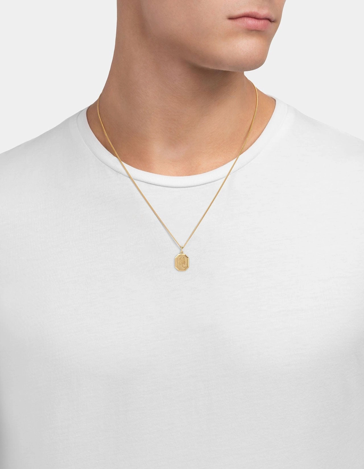 Zodiac Nyle Necklace, Gold Vermeil